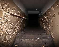It also features several tunnels inside which is estimated to be made to move agents around the region It also features several tunnels inside which is estimated to be made to move agents around the region.